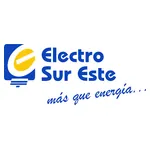 ELECTROSUR