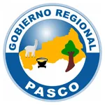 GOBIERNO REGIONAL PASCO